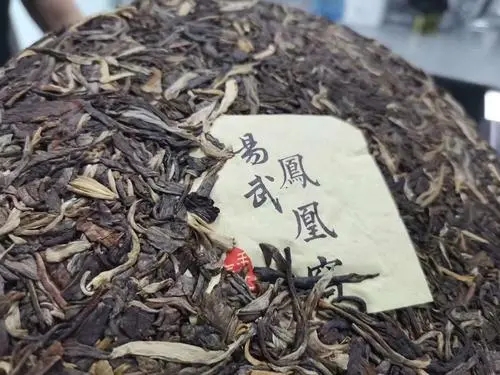 2022年鳳凰窩古樹高桿，鳳凰筑巢的地方