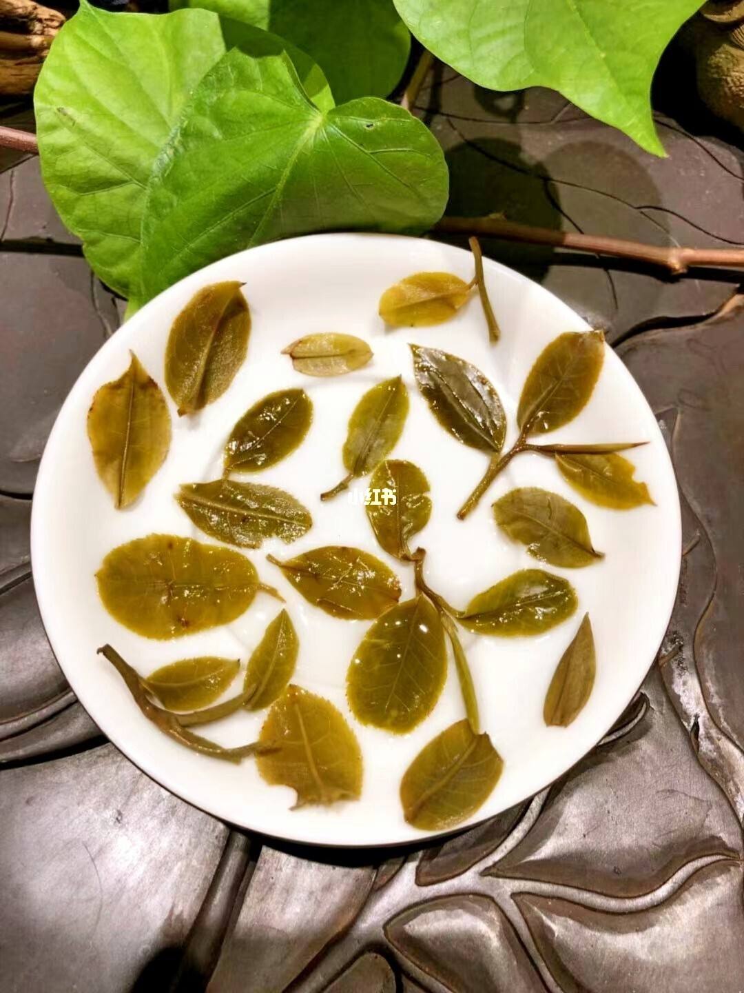 2022年倚邦貓耳朵古樹春茶多少錢一公斤？