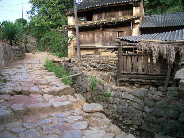 2022年蠻磚古樹春茶特點(diǎn)？