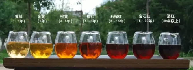 2022年普洱茶的茶湯湯色要怎么描述？