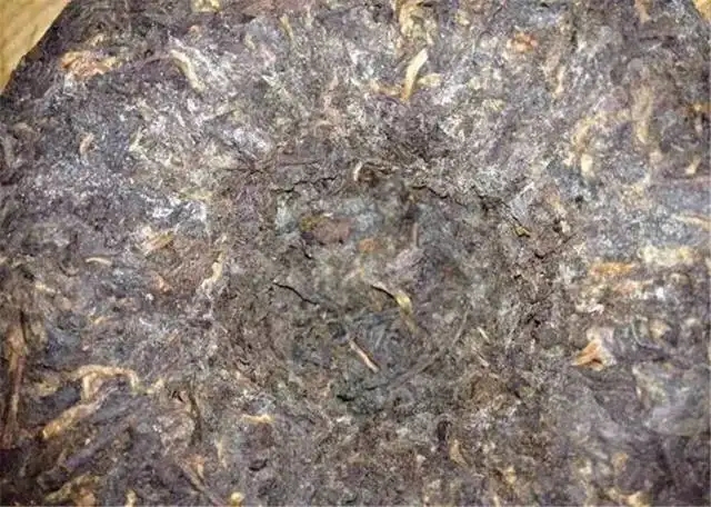 2022年普洱茶受潮發(fā)霉了怎么辦？