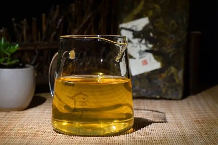 有茶油的普洱茶正常嗎？茶油是如何形成的？