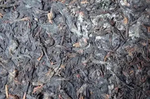 普洱茶泡了之后有霉味怎么辦？