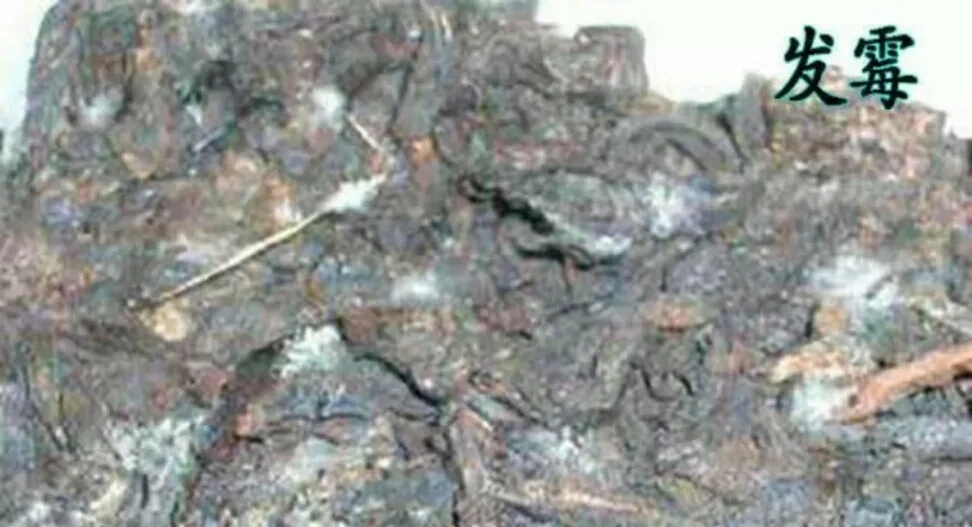 普洱茶受潮怎么處理？