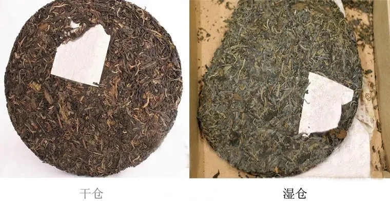 普洱茶怎么分辨干濕倉？