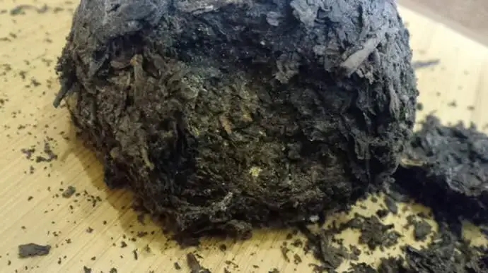 普洱茶蟲子怎么辦？