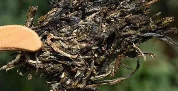 不同普洱茶生產(chǎn)地味道有哪些不同，不同派別的普洱茶味道又如何?