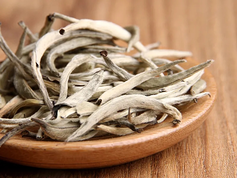 福鼎白茶、安吉白茶、云南月光白“三白”的區(qū)別