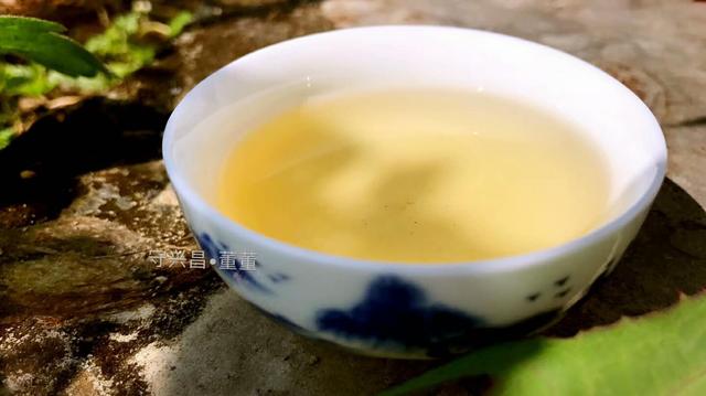 普洱茶有31種香味，你能聞出幾種來(lái)?