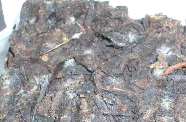 ?普洱茶發(fā)霉了怎么辦？教你妙招應對發(fā)霉的普洱茶！