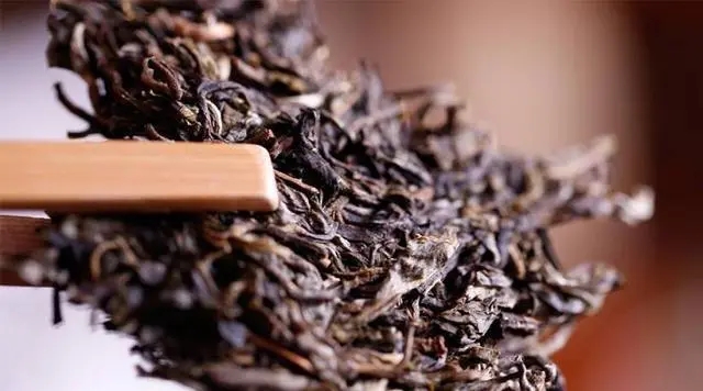 普洱生茶好還是普洱熟茶好喝？如何挑選適合自己的普洱茶？