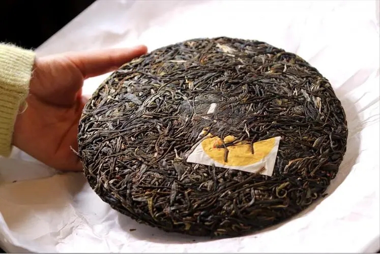 犀牛塘 | 古韻留香，帕沙之王