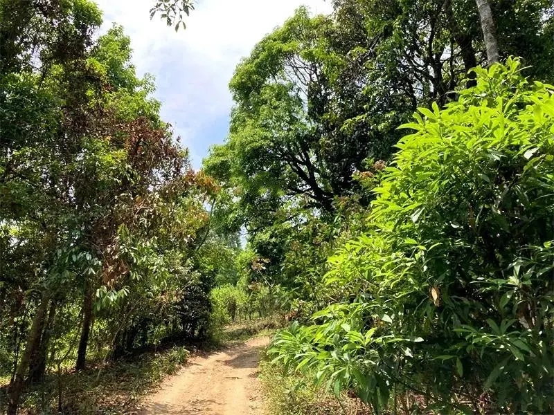 茶山紀(jì)實(shí)：犀牛塘，最近能火是有原因的