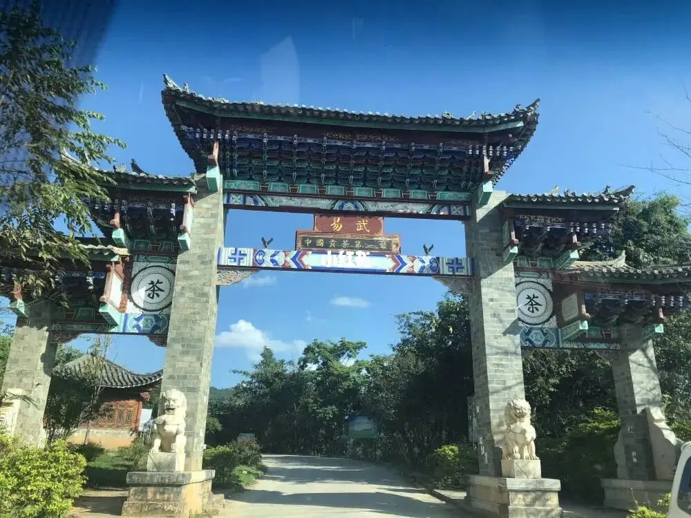 古樹茶年份越老，茶葉就越好嗎？影響茶葉品質(zhì)的因素有哪些？