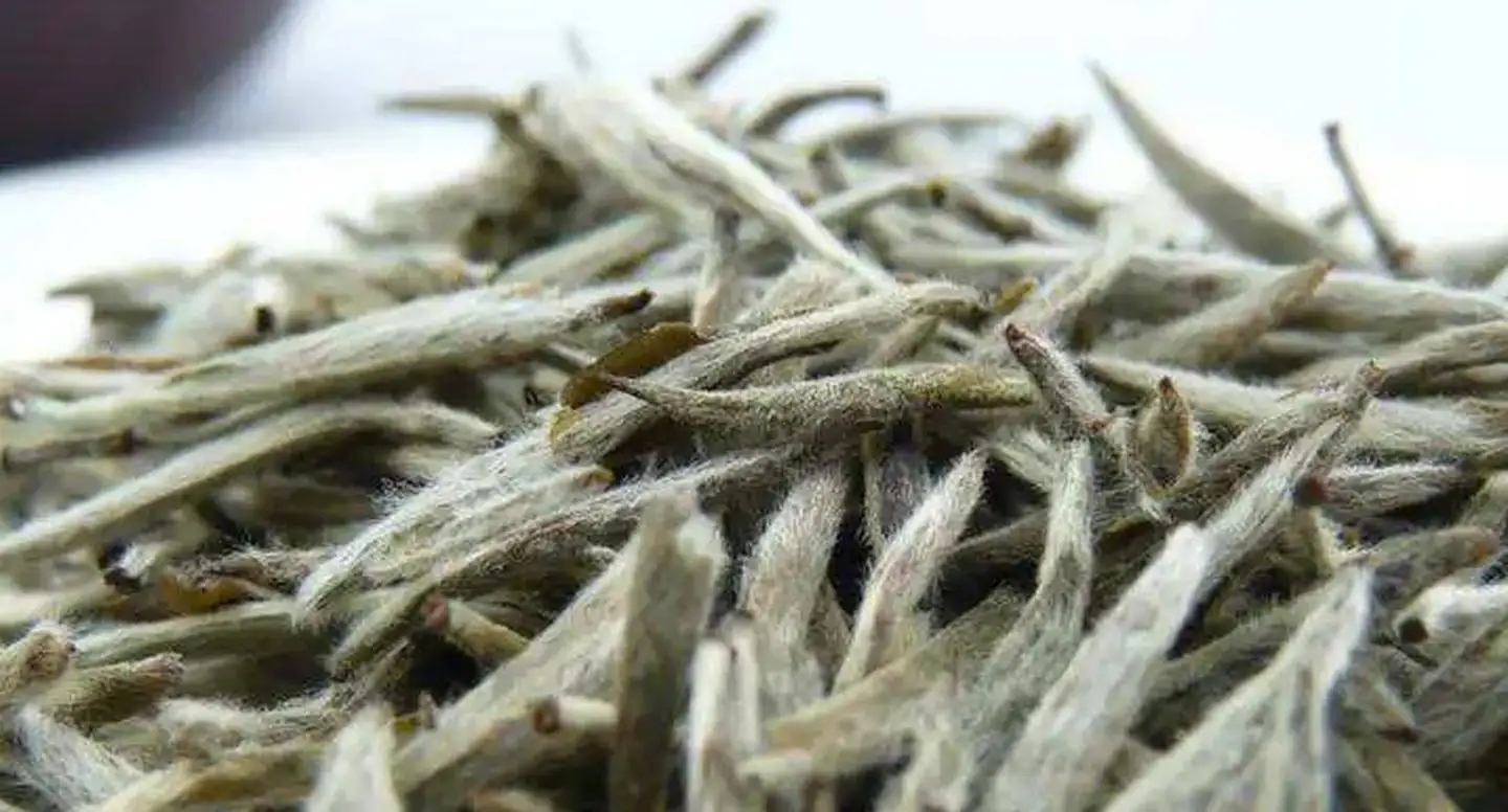茶毫越多的茶，品質(zhì)就越高嗎？