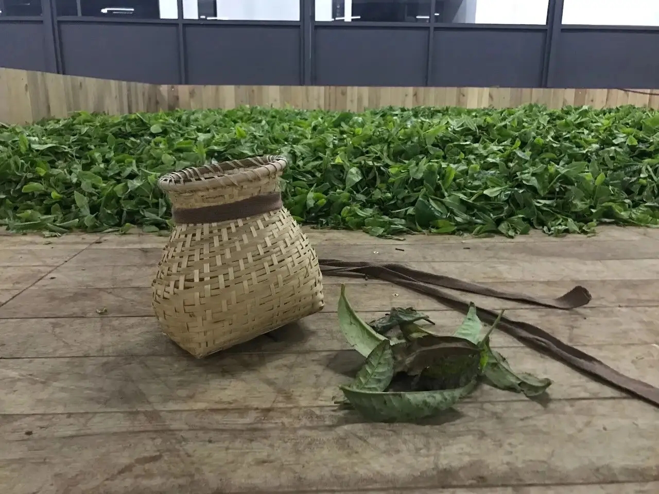 普洱茶，如果不談山頭，我們談什么？