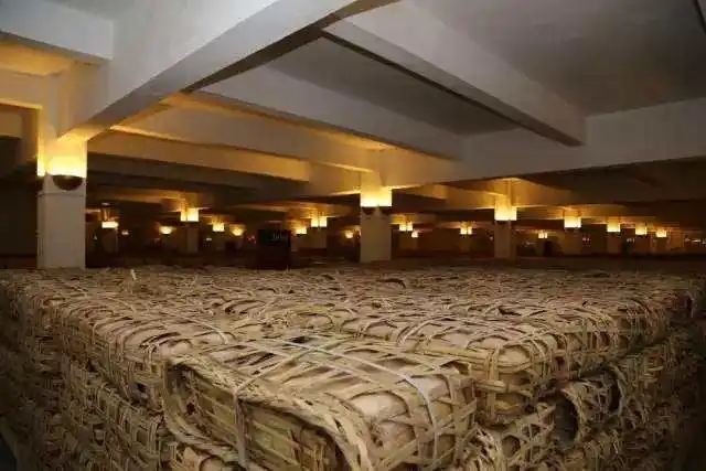 云南古樹普洱茶好在哪？相比小樹茶、臺地茶有何不同？