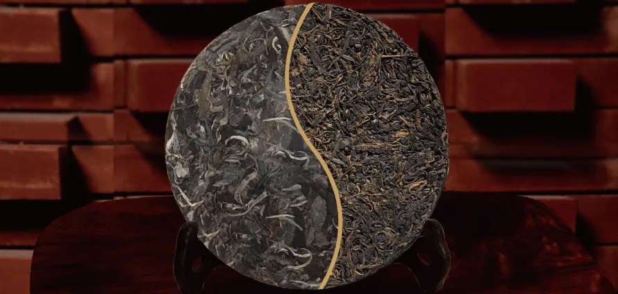 一入普門深似海？入普洱門前，你需要了解這些