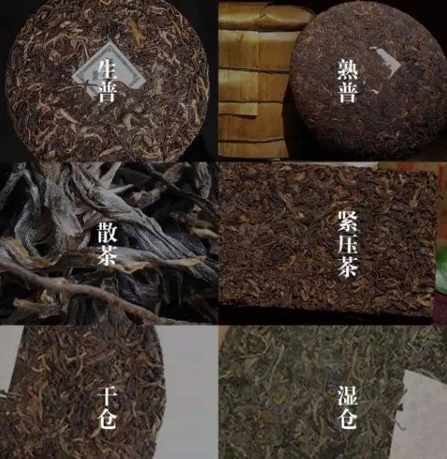 普洱茶不是越陳越香嗎？怎么也有最佳品飲期？