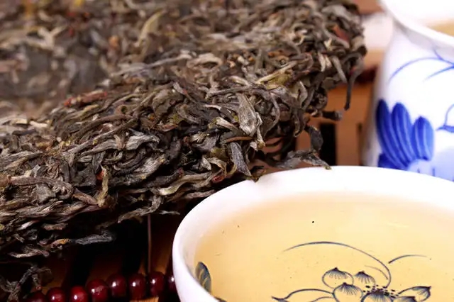 喝普洱茶，生茶和熟茶哪個更適合你？
