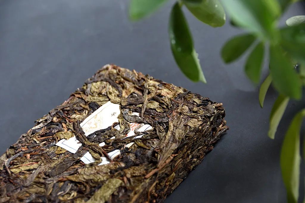 普洱茶古樹黃片，性價比超高的口糧茶，有骨有肉香甜順