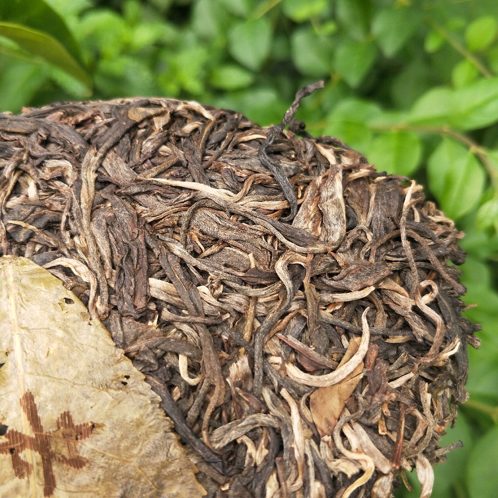 2023年班盆古樹(shù)春茶多少錢(qián)一公斤？