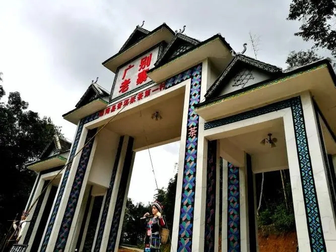 2023年廣別老寨古樹(shù)春茶品質(zhì)如何？