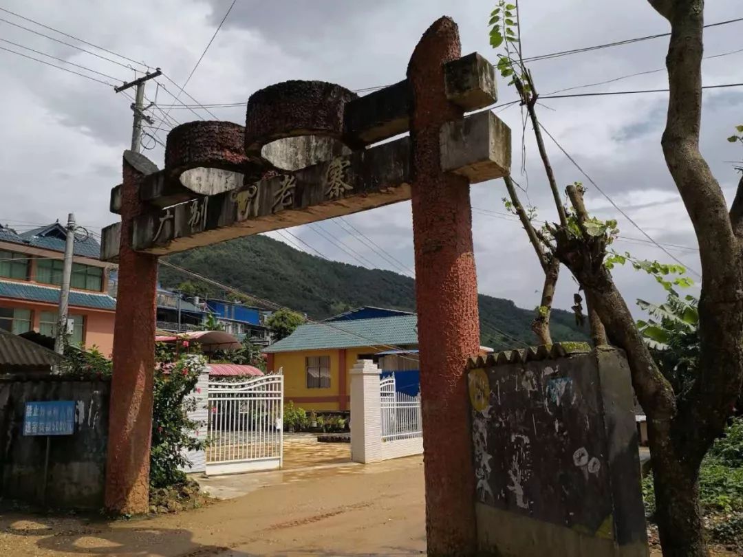 2023年廣別老寨古樹(shù)春茶價(jià)格多少？