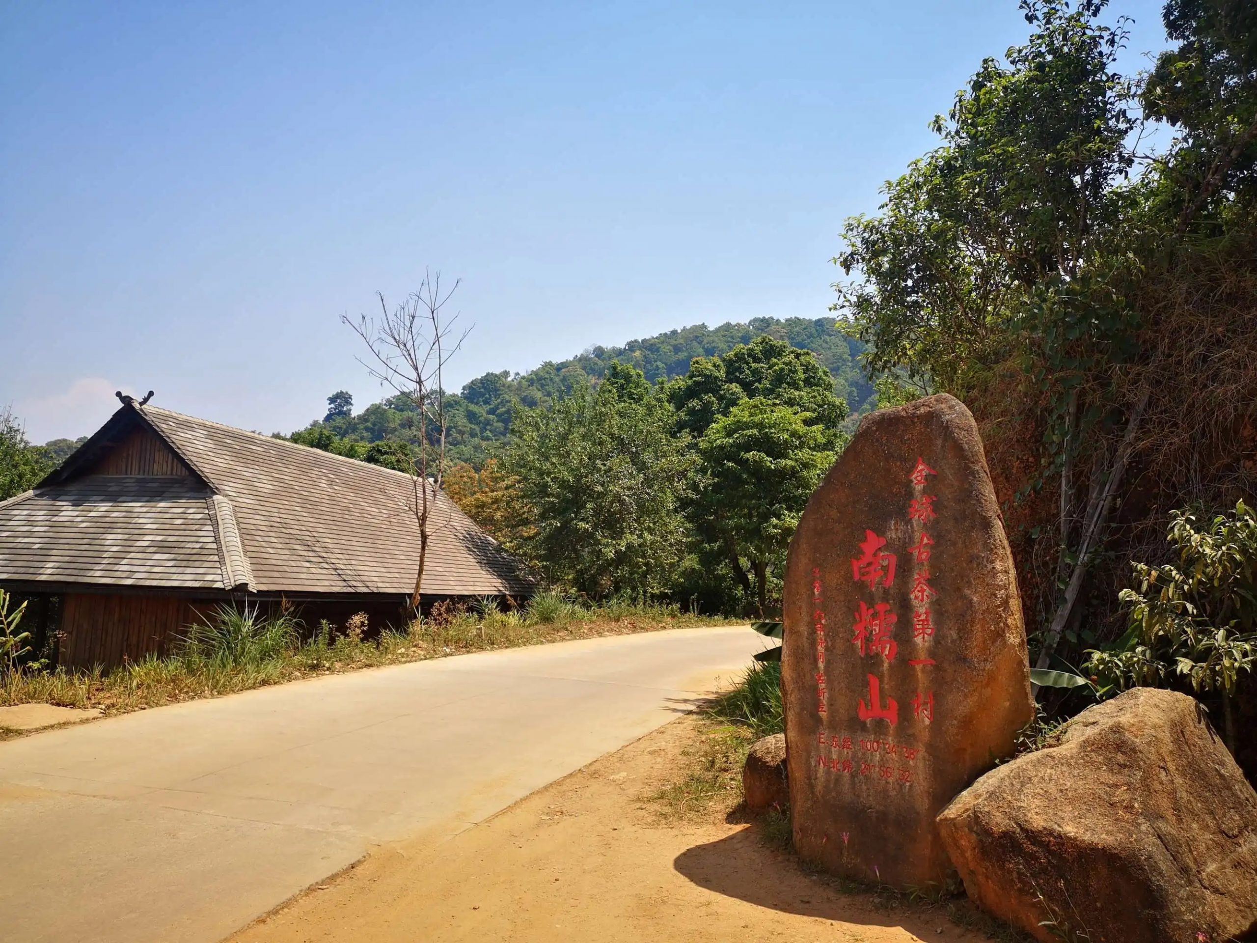 2023年南糯山古樹春茶品質(zhì)怎么樣？