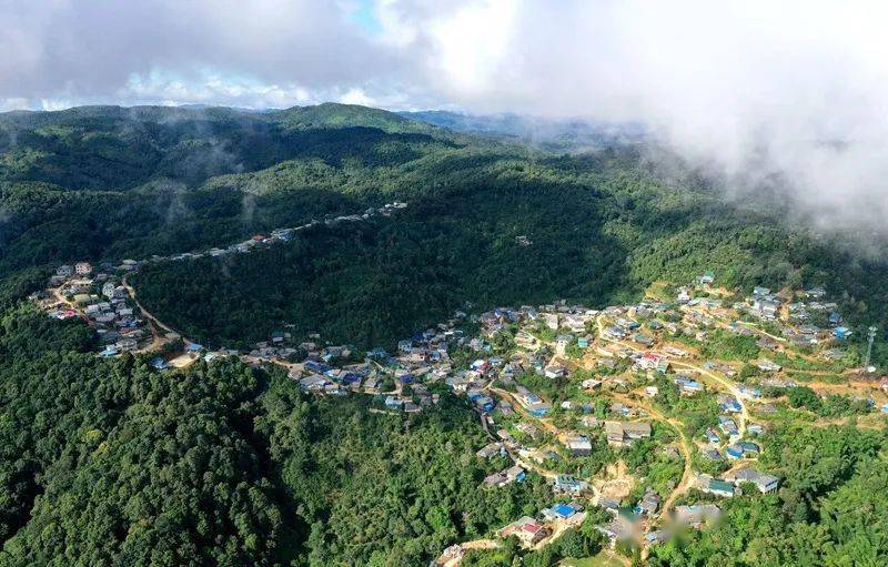 2023年帕沙古樹春茶口感怎么樣？