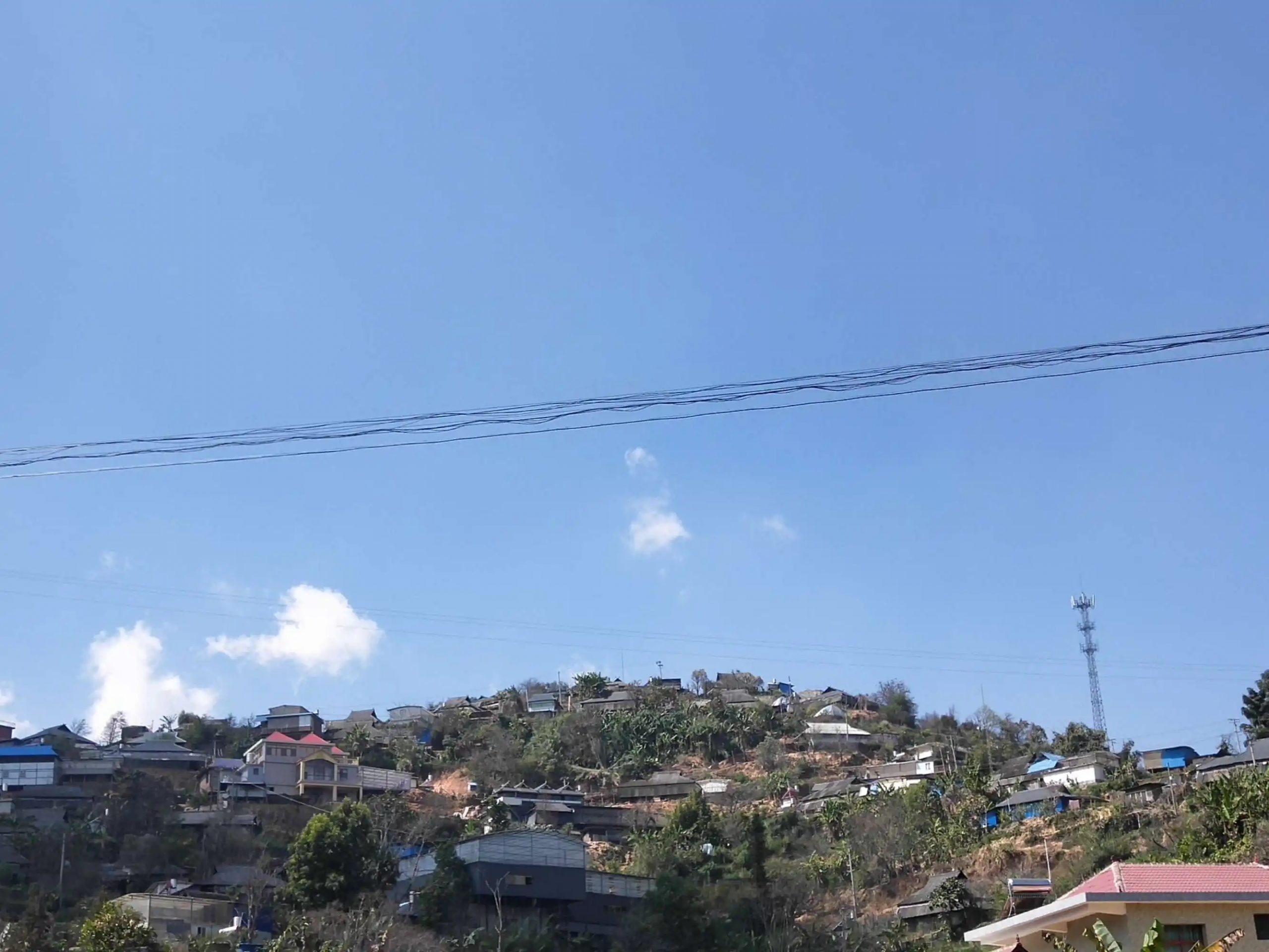 2023帕沙古樹春茶特點(diǎn)是什么？