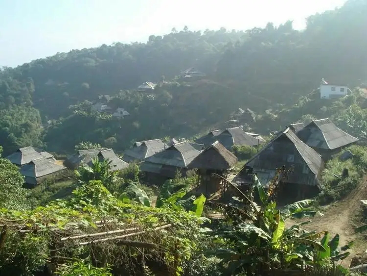 2023年帕沙古樹春茶多少一公斤？