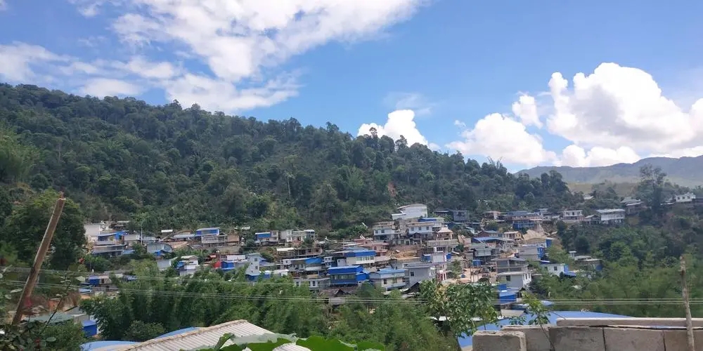 2023年那卡古樹(shù)春茶品質(zhì)如何？