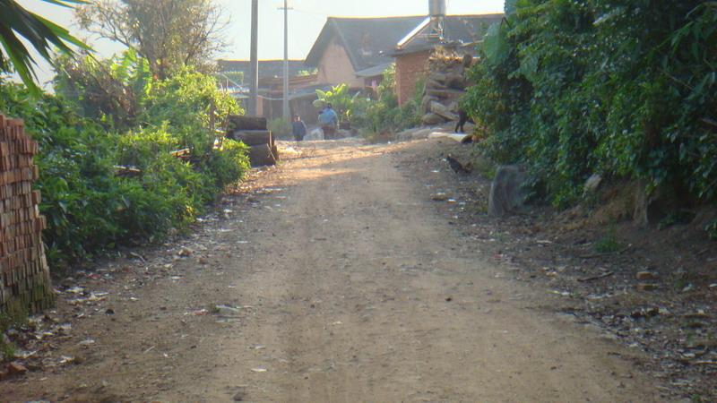 2023年保塘老寨古樹春茶價格是多少？