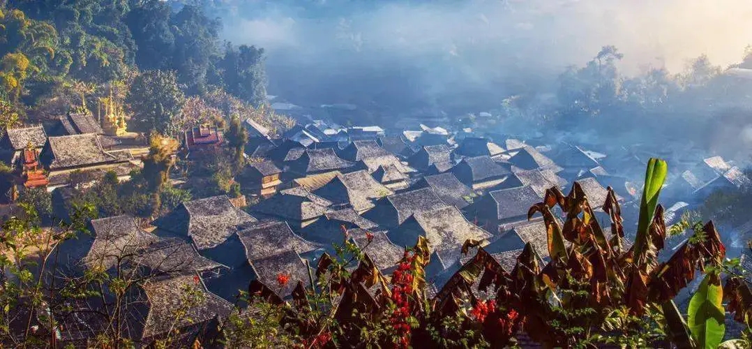 2023年景邁古樹春茶品質(zhì)如何？