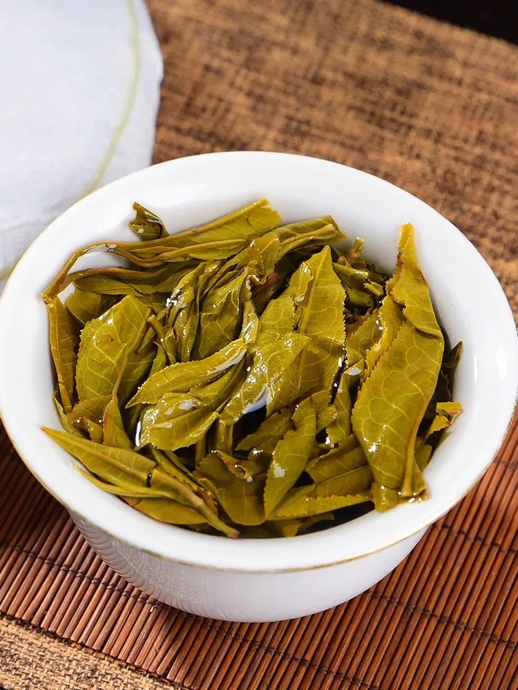 2023白鶯山古樹春茶特點是什么？