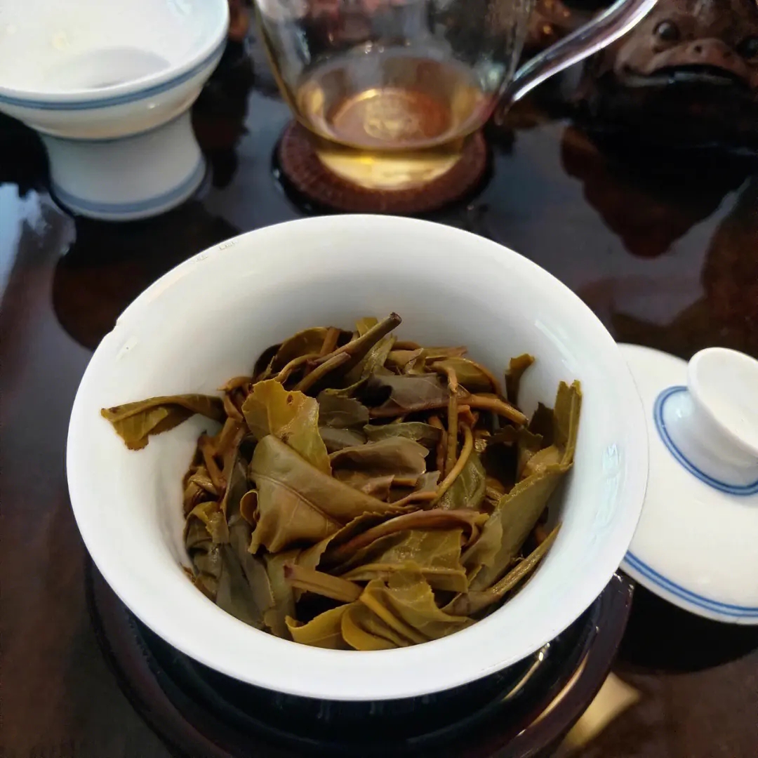 2023年昔歸古樹春茶口感如何？