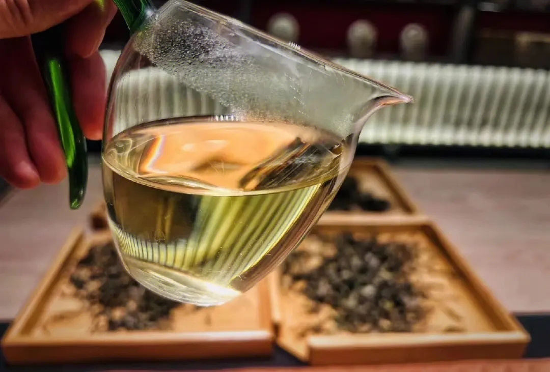 2023年鳳凰窩古樹(shù)春茶價(jià)格是多少？