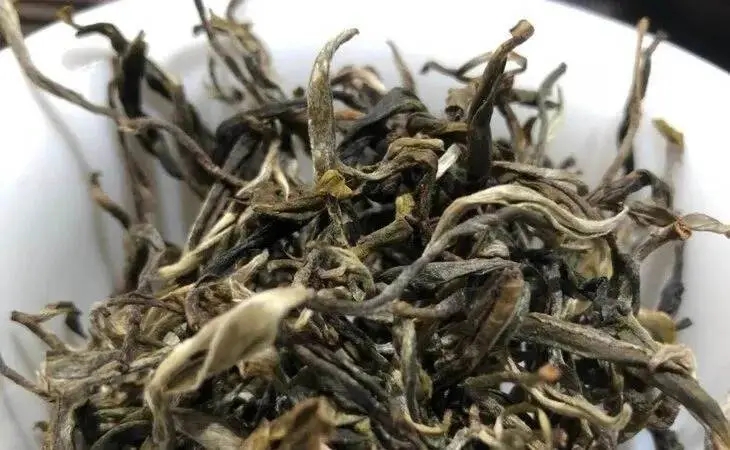 2023年鳳凰窩古樹春茶多少一公斤？