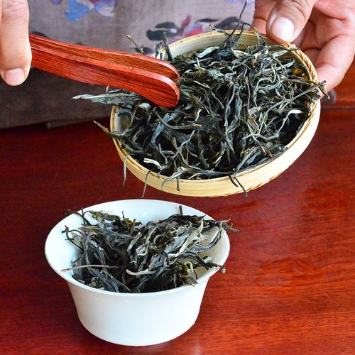 2023年地界古樹春茶口感是什么？