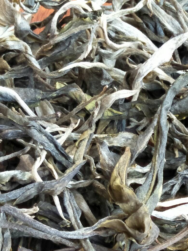 2023年壩歪古樹春茶價格是多少？