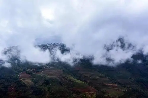 2023年勐庫大忠山古樹春茶口感如何？