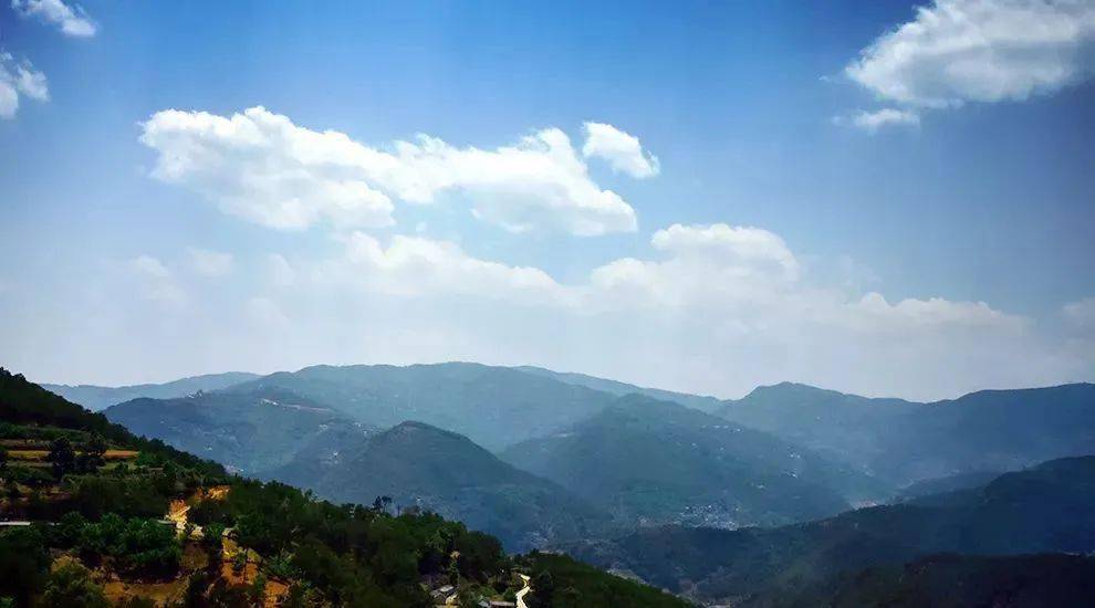 2023年勐庫(kù)大忠山古樹(shù)春茶價(jià)格是多少？