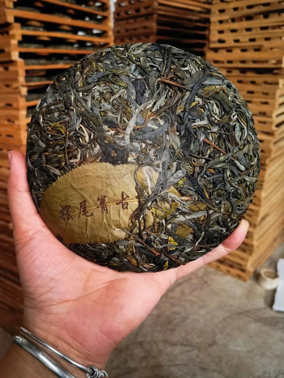 2023年寧洱擺尾箐古樹(shù)春茶品質(zhì)怎么樣？