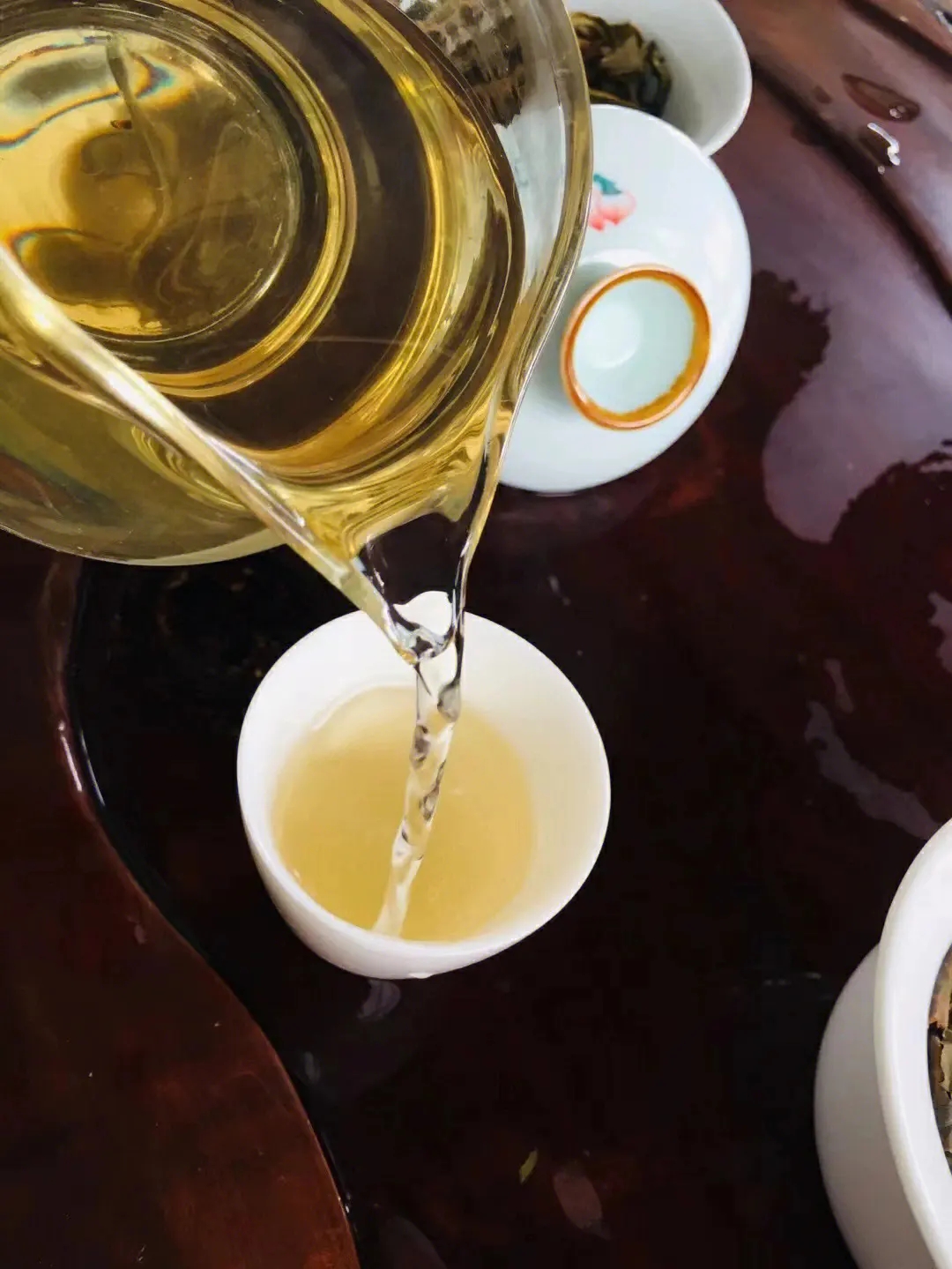 2023年鎮(zhèn)沅老海塘古樹春茶價(jià)格是多少？