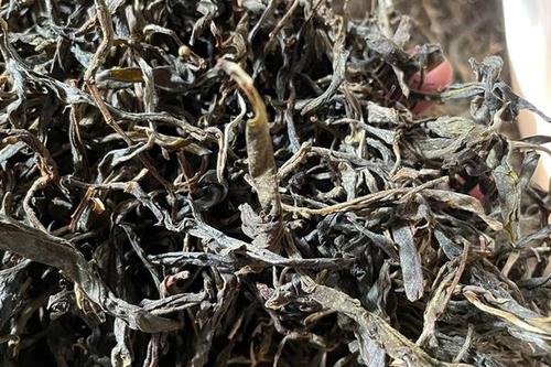 2023年鎮(zhèn)沅老烏山古樹春茶多少一公斤？