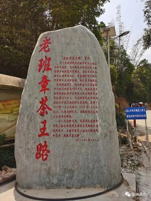 2024年老班章古樹春茶品質(zhì)如何？