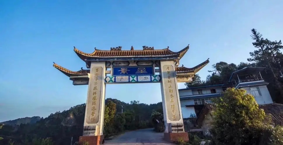 2024年墨江鳳凰窩古樹(shù)春茶特點(diǎn)是什么？