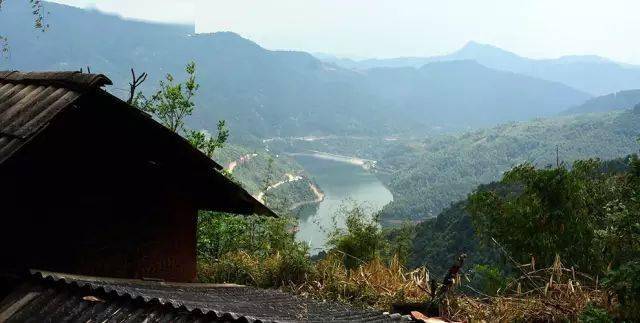 2024年磨烈古樹(shù)春茶價(jià)格多少？