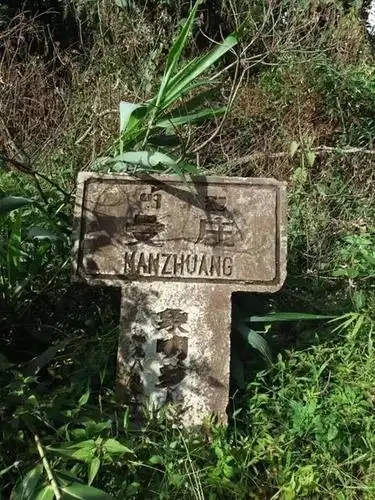 2025年蠻磚古樹(shù)春茶特點(diǎn)是什么？